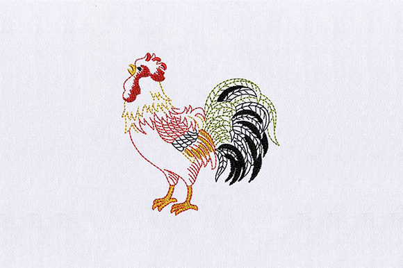 Rooster Male
